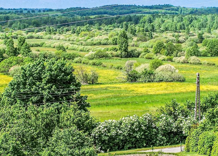 Dom wakacyjny Lovely In With Wifi